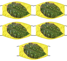 Load image into Gallery viewer, Water drops: FM

